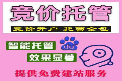 SEM竞价代运营：案例解读行业趋势